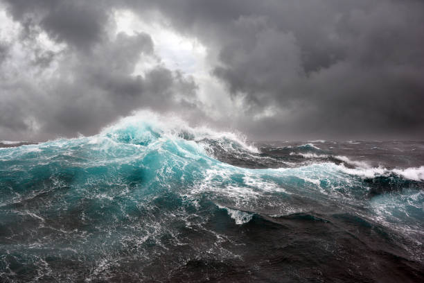 Imagen extraida de unsplash