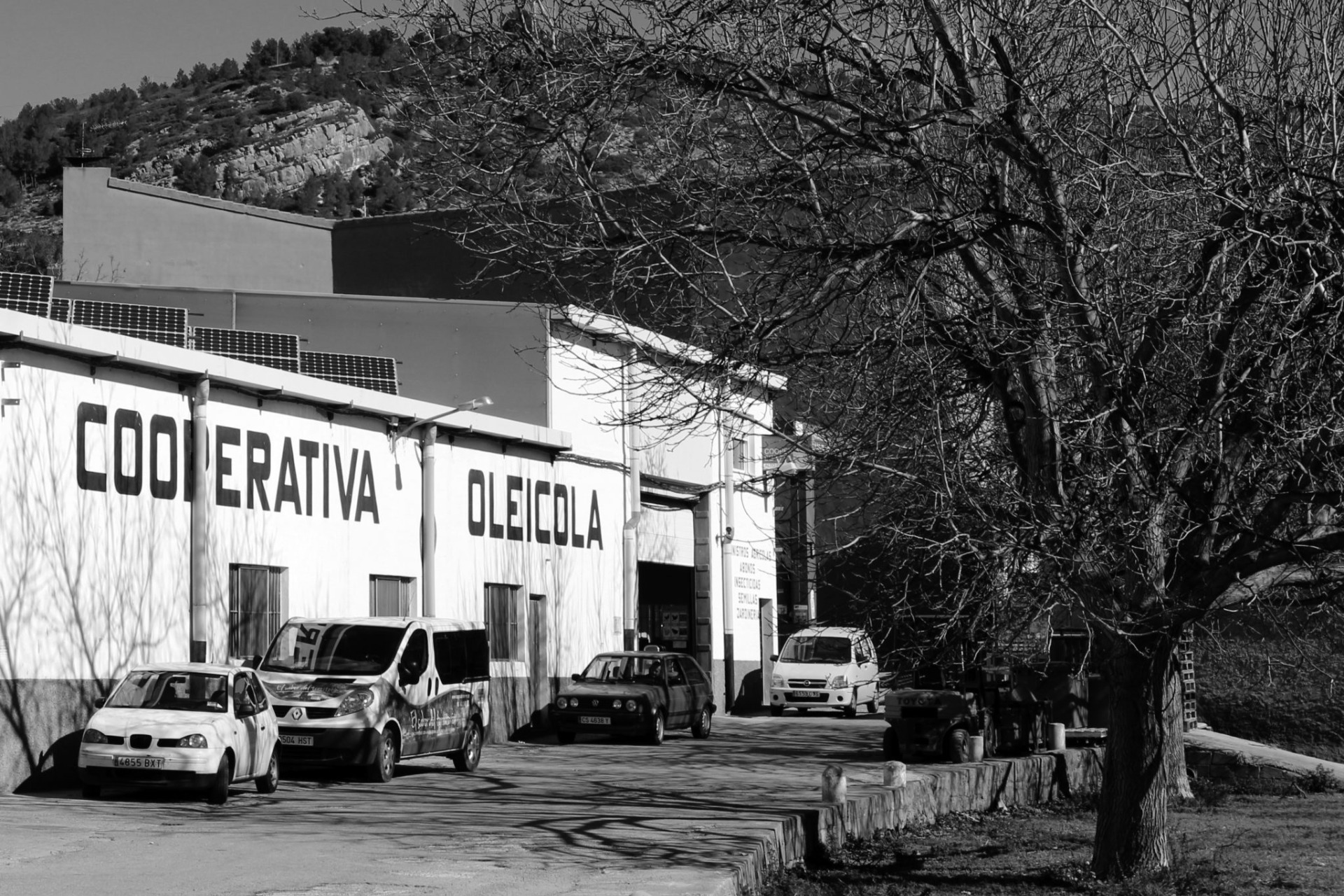 imagen extraida de la web de la Cooperativa Viver